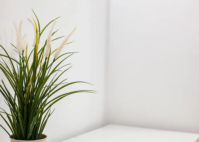 Meraviglioso Nel Centro Di Апартаменты *